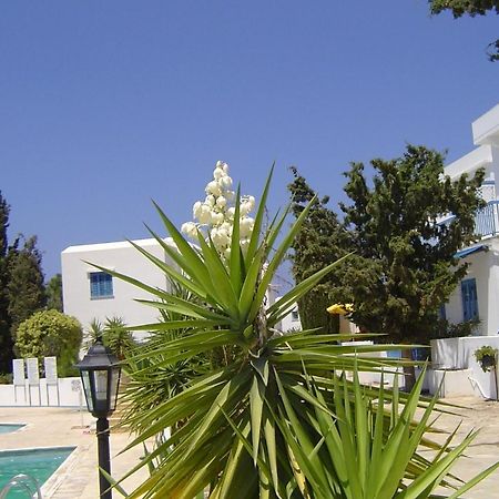 Ikaria Village Maisonette 12 Paphos Ngoại thất bức ảnh