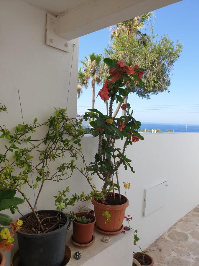 Ikaria Village Maisonette 12 Paphos Ngoại thất bức ảnh